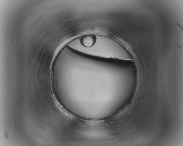 X0000102531200200808081045