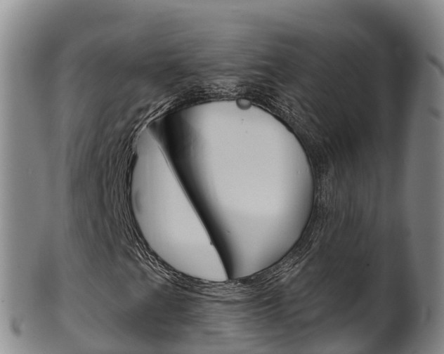 X0000102531201200808081045