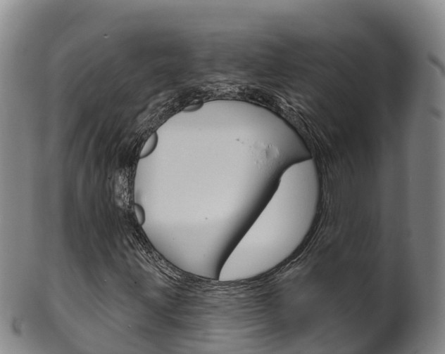 X0000102531203200808081045