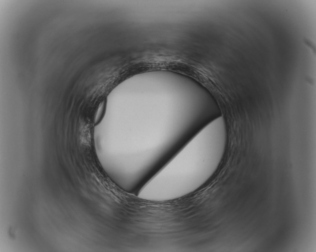 X0000102531204200808081045
