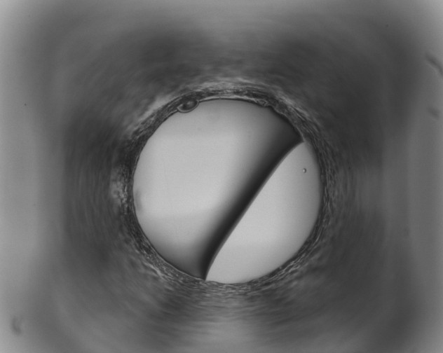 X0000102531206200808081045