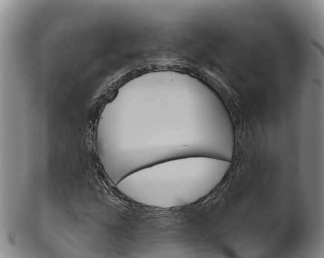 X0000102531207200808081045