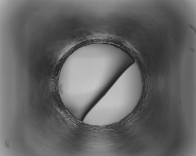 X0000102531208200808081045
