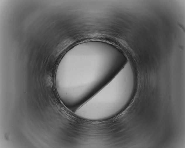 X0000102531209200808081045