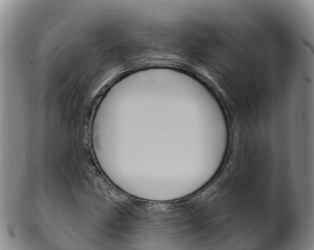 X0000102531211200808081045