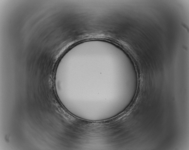 X0000102531212200808081045