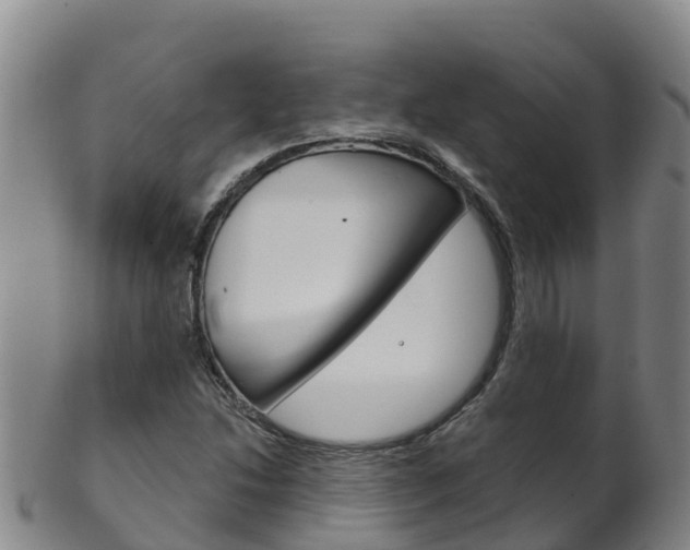 X0000102531214200808081045