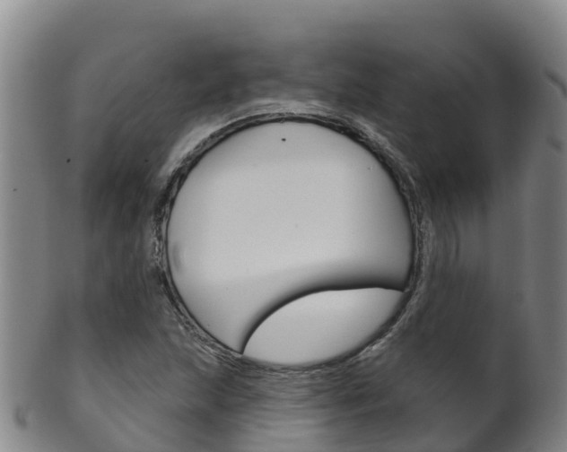 X0000102531215200808081045