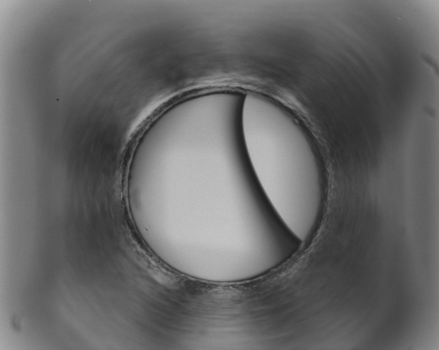 X0000102531216200808081045