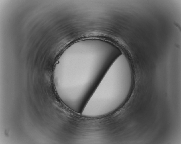 X0000102531217200808081045
