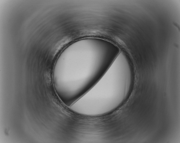 X0000102531218200808081045