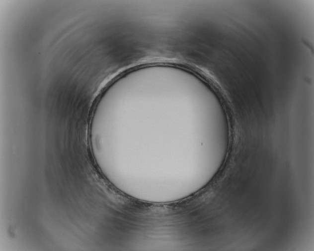 X0000102531220200808081045