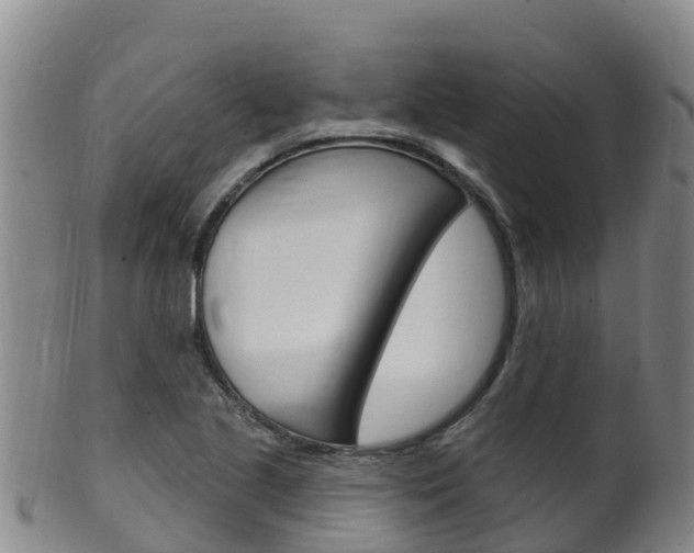 X0000102531221200808081045