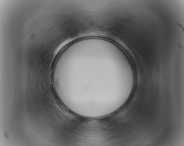 X0000102531222200808081045