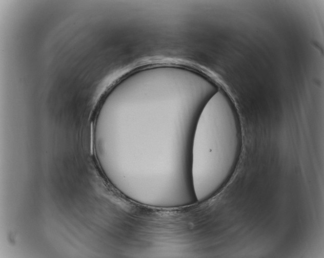X0000102531223200808081045