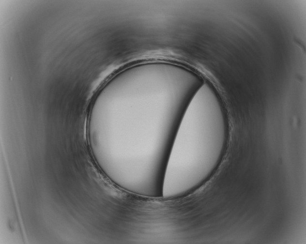 X0000102531224200808081045