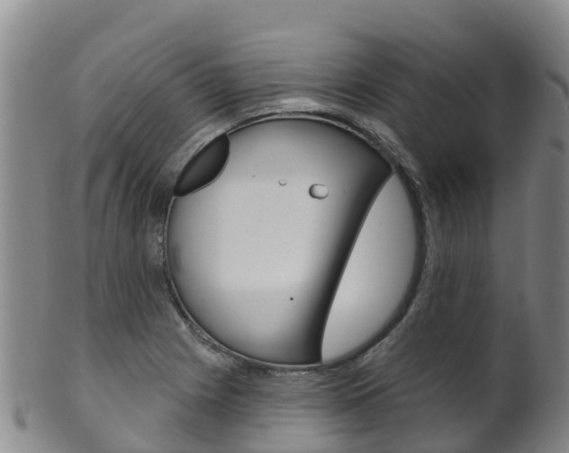 X0000102531225200808081045