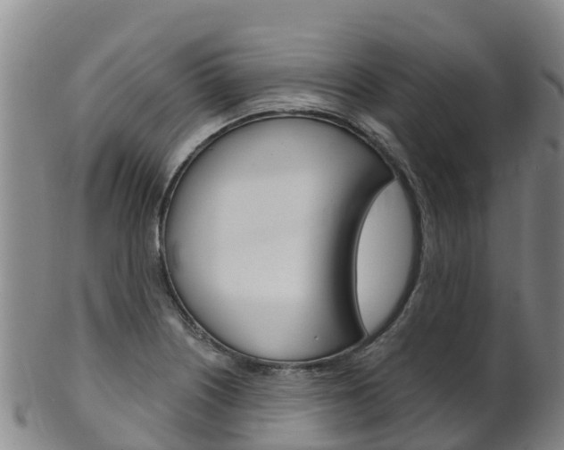 X0000102531226200808081045