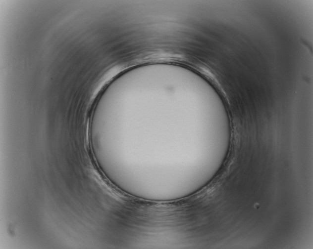 X0000102531227200808081045