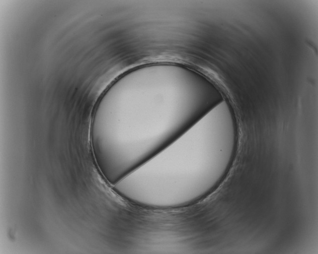 X0000102531228200808081045