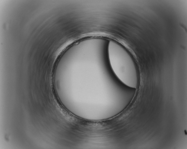 X0000102531229200808081045