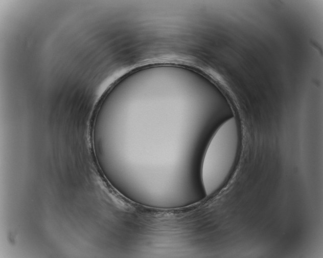 X0000102531230200808081045