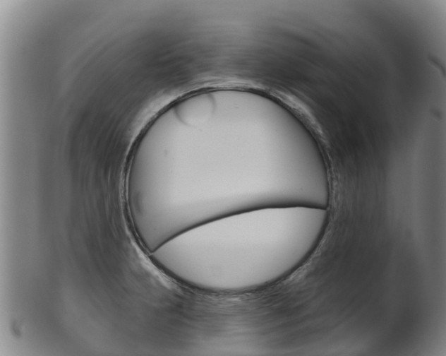 X0000102531231200808081045