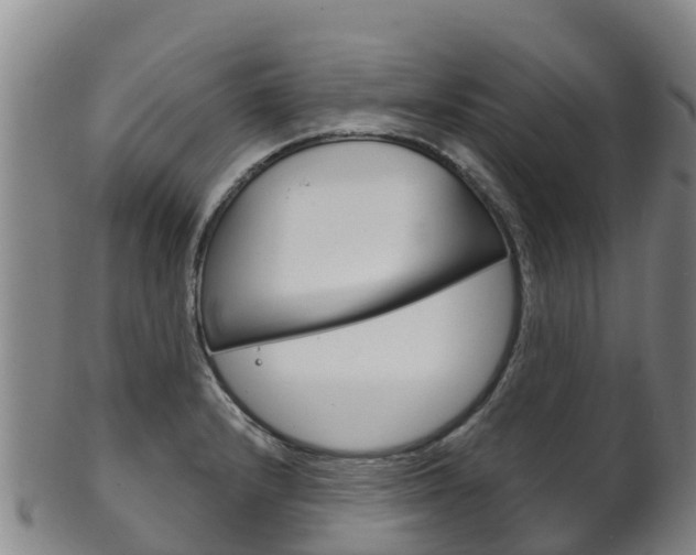 X0000102531232200808081045