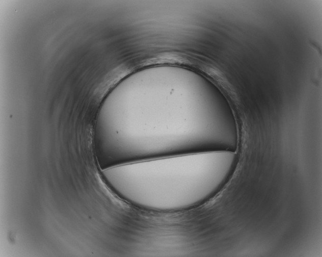 X0000102531233200808081045