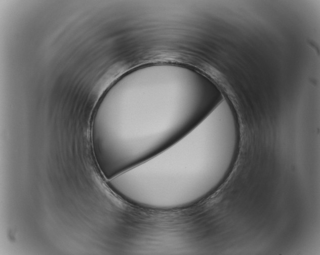 X0000102531234200808081045
