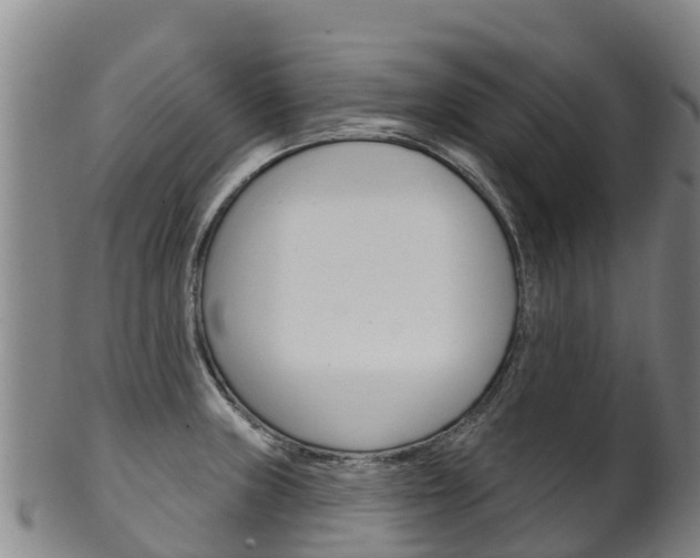 X0000102531235200808081045