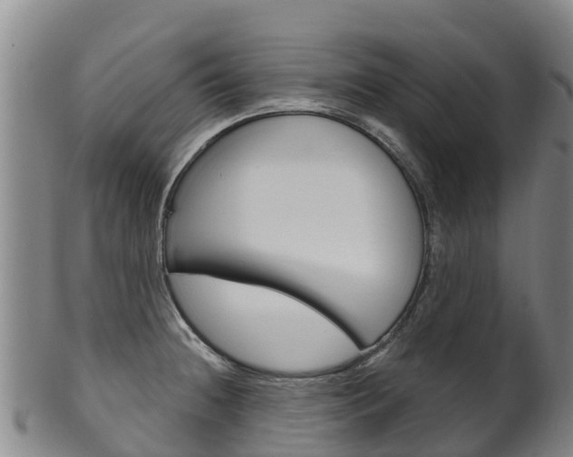 X0000102531236200808081045