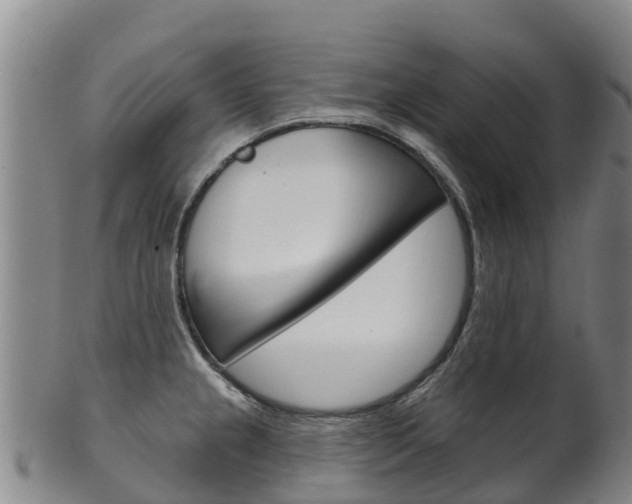 X0000102531237200808081045