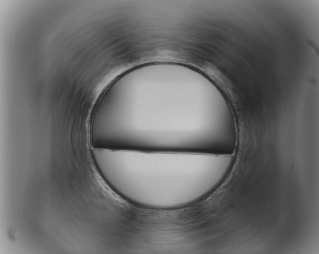X0000102531238200808081045