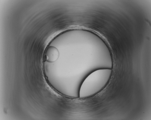 X0000102531239200808081045