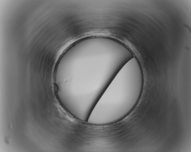 X0000102531240200808081045