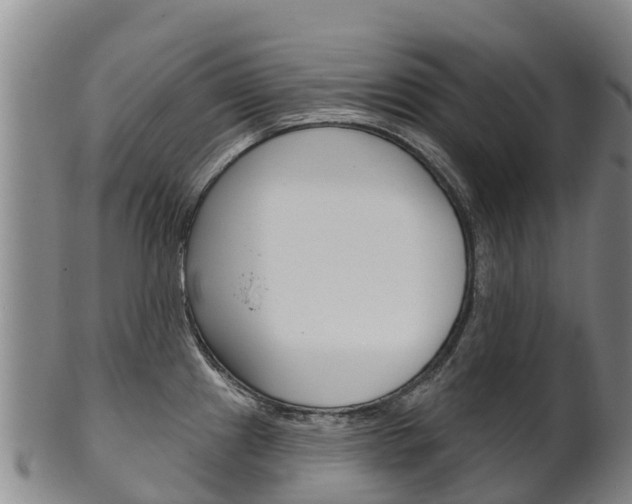 X0000102531241200808081045