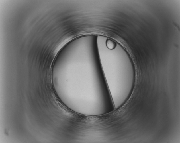 X0000102531242200808081045