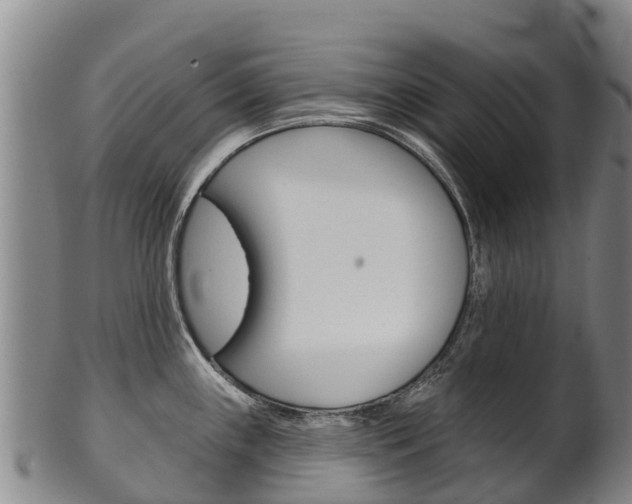 X0000102531243200808081045