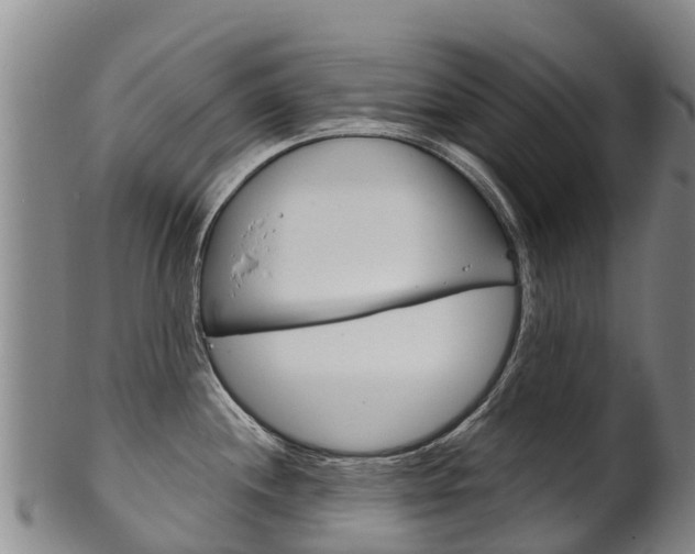 X0000102531244200808081045