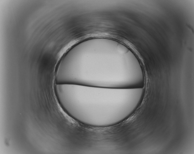X0000102531245200808081045