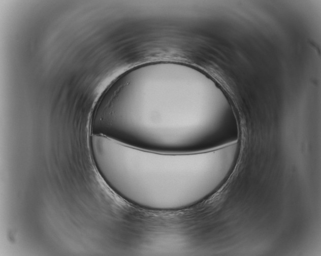 X0000102531246200808081045
