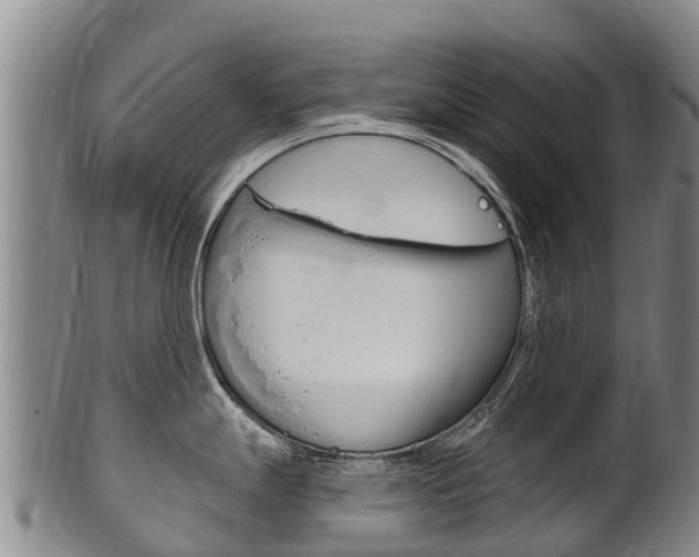 X0000102531247200808081045