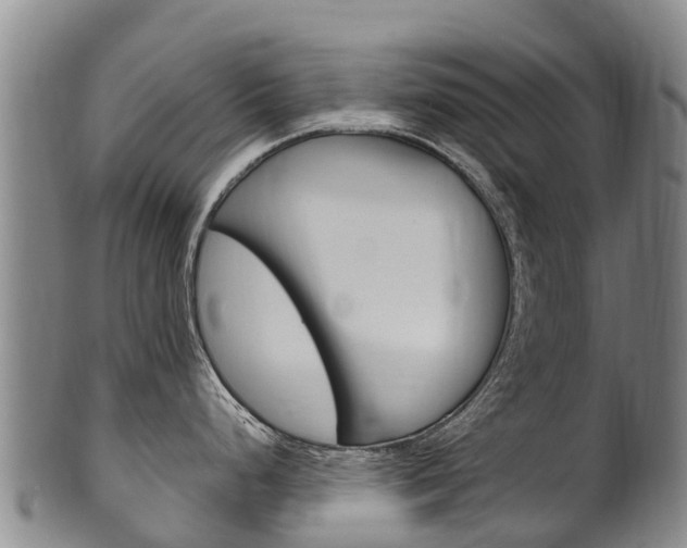 X0000102531248200808081045
