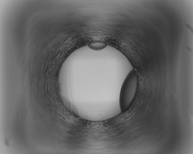 X0000102531249200808081045