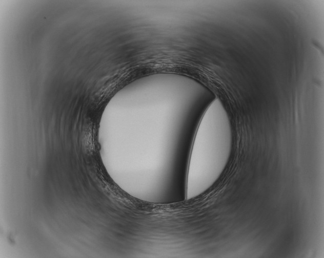 X0000102531250200808081045