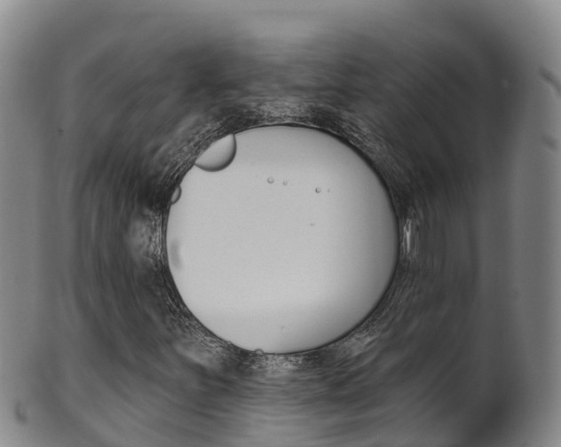 X0000102531251200808081045
