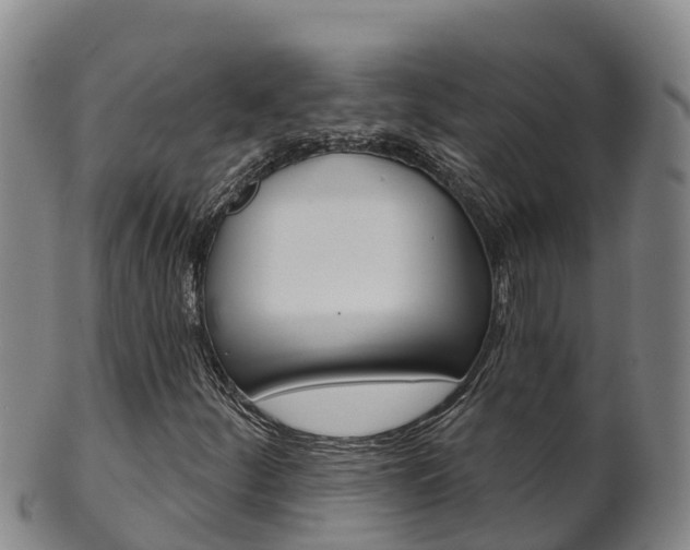 X0000102531252200808081045