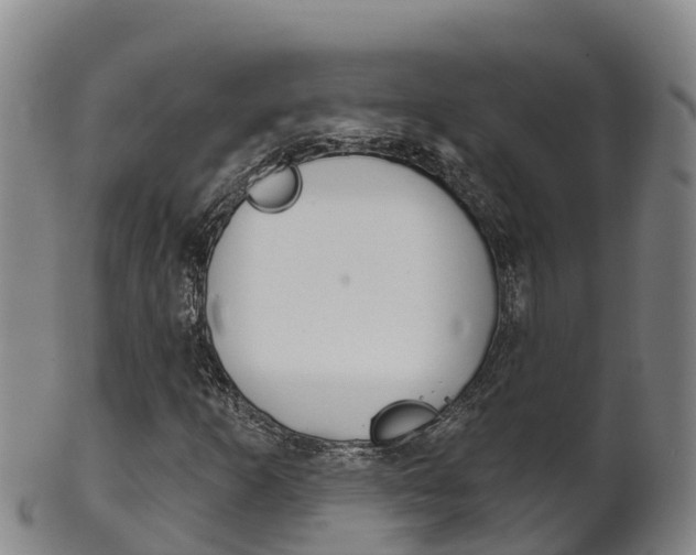 X0000102531253200808081045