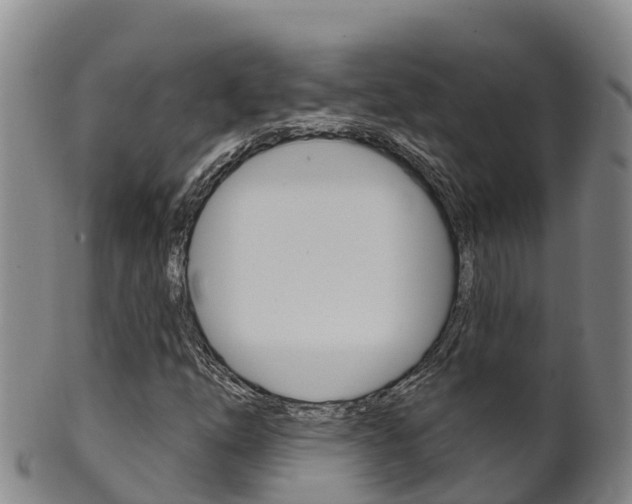 X0000102531254200808081045